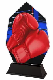 Akrylátová trofej ACSC001M32 | Bojová umění Výška cm: 15.5, Šířka cm: 9.5