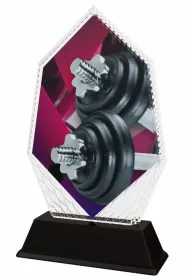 Akrylátová trofej PYR001M19 | Vzpírání Výška cm: 16, Šířka cm: 9.5