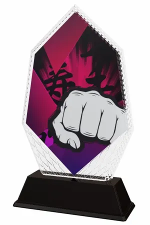 Akrylátová trofej PYR001M21 | Bojová umění Výška cm: 18, Šířka cm: 10.5
