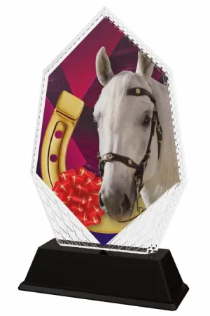 Akrylátová trofej PYR001M30 | Jezdectví Výška cm: 16, Šířka cm: 9.5