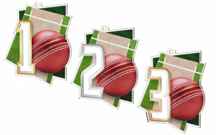 Akrylátová medaile MDAF0017M17 | Cricket Stuha: ST13, Průměr cm: 6, Barva: bronz