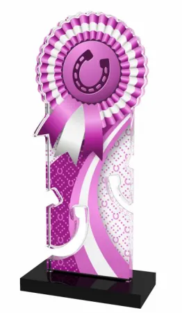 Akrylátová trofej APLAM46 | Jezdectví Výška cm: 22, Šířka cm: 8.5