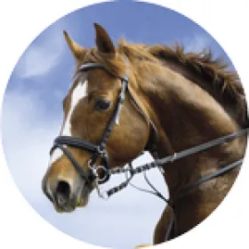 Emblém ES122 | Jezdectví Průměr cm: 2,5