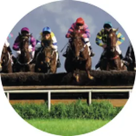 Emblém ES124 | Jezdectví Průměr cm: 2,5