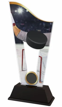 Akrylátová trofej CASM05 | Hokej Výška cm: 17.5, Šířka cm: 8