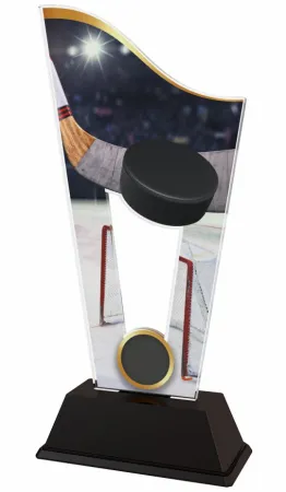 Akrylátová trofej CASM05 | Hokej Výška cm: 17.5, Šířka cm: 8