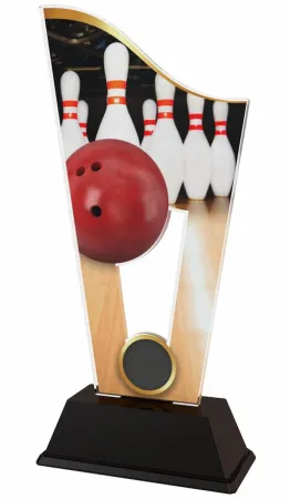 Akrylátová trofej CASM06 | Bowling Výška cm: 17.5, Šířka cm: 8