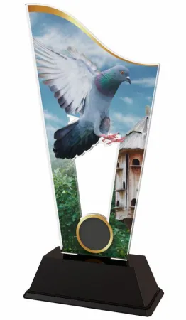 Akrylátová trofej CASM13 | Chovatelství Výška cm: 21, Šířka cm: 9