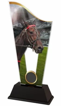 Akrylátová trofej CASM16 | Jezdectví Výška cm: 17.5, Šířka cm: 8