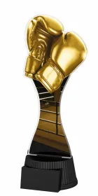 Akrylátová trofej ACUTCNM13 | Bojová umění Výška cm: 19, Šířka cm: 8.5