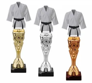 Trofej HLAC02M03 | Bojová umění Barva: bronz
