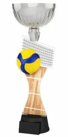Akrylátová trofej ACUPCSM09 | Volejbal Výška cm: 28,5