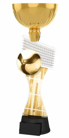 Akrylátová trofej ACUPCGNM08 Výška cm: 28,5