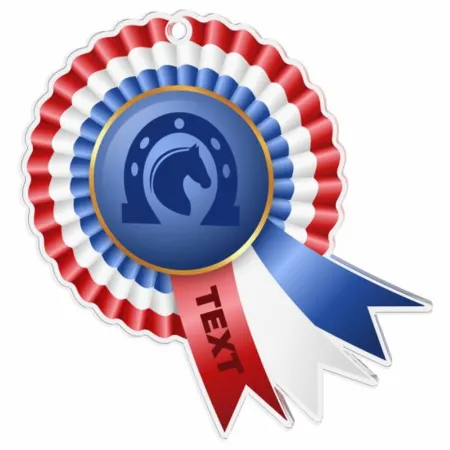 Akrylátová medaile MDAC0010M30 | Jezdectví Stuha: ST11, MD průměr: 6