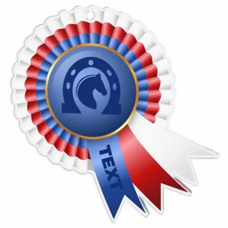 Akrylátová medaile MDAC0010M31 | Jezdectví Stuha: ST15, MD průměr: 7