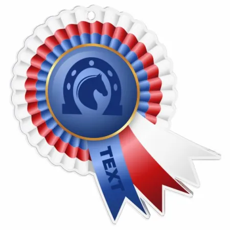 Akrylátová medaile MDAC0010M31 | Jezdectví Stuha: ST15, MD průměr: 7