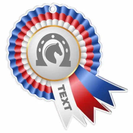 Akrylátová medaile MDAC0010M32 | Jezdectví Stuha: ST15, MD průměr: 7