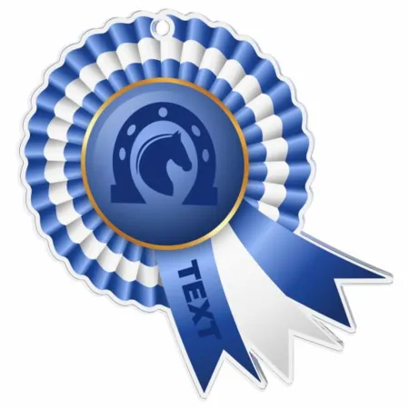 Akrylátová medaile MDAC0010M33 | Jezdectví Stuha: ST5, MD průměr: 6