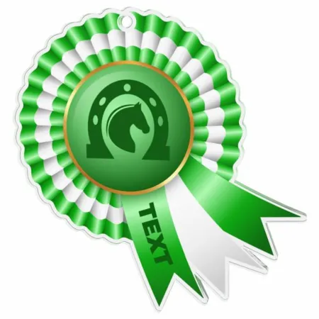 Akrylátová medaile MDAC0010M35 | Jezdectví Stuha: ST4, MD průměr: 7