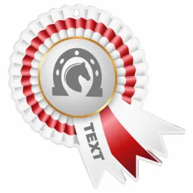 Akrylátová medaile MDAC0010M37 | Jezdectví Stuha: ST4, MD průměr: 7