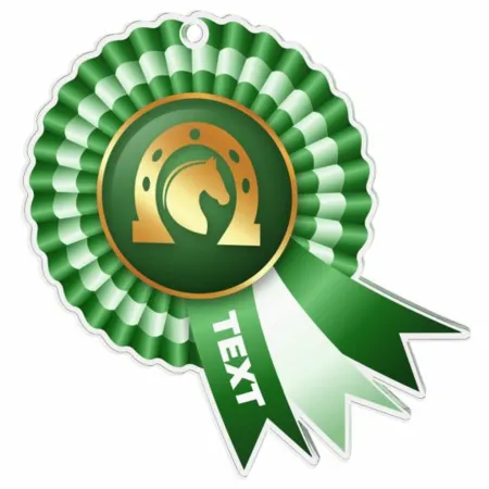 Akrylátová medaile MDAC0010M39 | Jezdectví Stuha: ST3, MD průměr: 5