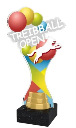 Akrylátová trofej ACBTM63 | Kynologie Výška cm: 25, Barva: bronz