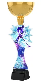 Akrylátová trofej ACUPCGM70 Výška cm: 28,5