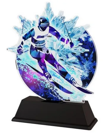 Akrylátová trofej CBCUS004M01 | Sjezdové lyžování Výška cm: 15.5, Šířka cm: 12