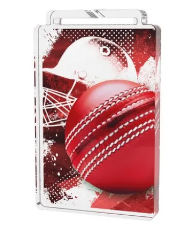 Akrylátová medaile MDA40M05 | Cricket Výška cm: 6, Stuha: ST1