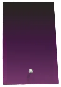 Skleněná trofej CR3049 Výška cm: 10