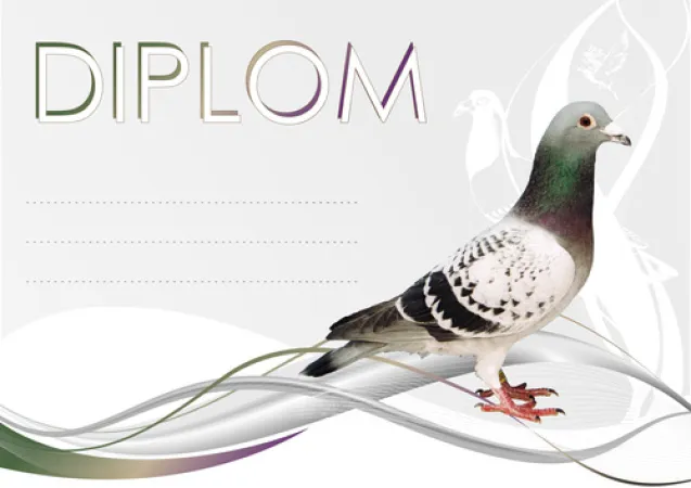 Diplom DP0037 | Chovatelství