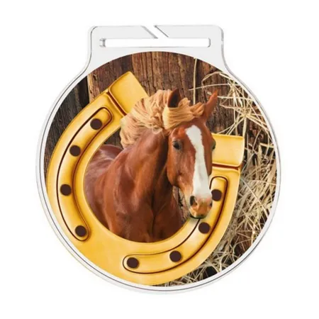 Akrylátová medaile MDA60M55 | Jezdectví Stuha: ST17, MD průměr: 6