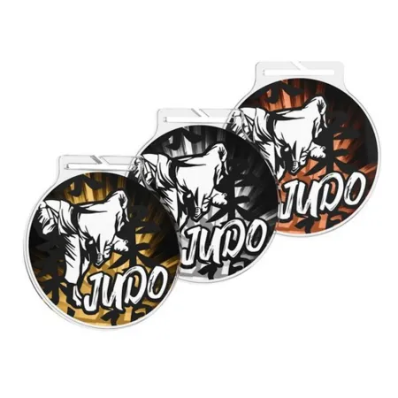 Akrylátová medaile MDAR60M23 | Bojová umění Barva: bronz, Stuha: ST6