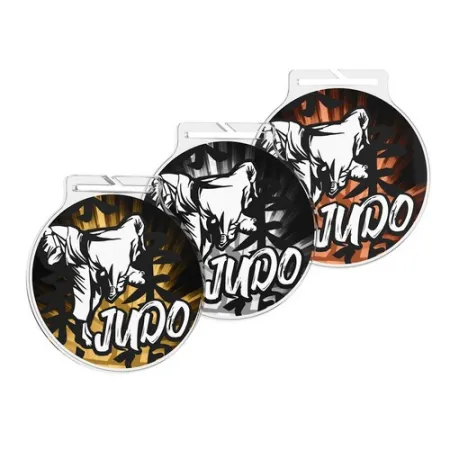 Akrylátová medaile MDAR60M23 | Bojová umění Barva: bronz, Stuha: ST6