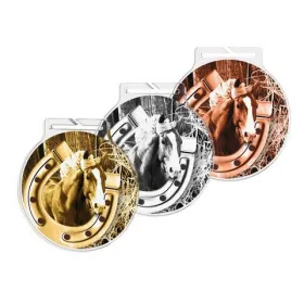 Akrylátová medaile MDAR60M55 | Jezdectví Barva: stříbro, Stuha: ST2