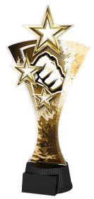 Akrylátová trofej ASTARN001M15 | Bojová umění Výška cm: 25