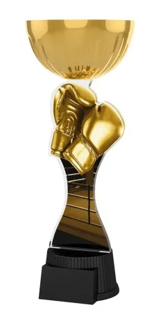 Akrylátová trofej ACUPCGNMINIM13 | Bojová umění Výška cm: 25,5