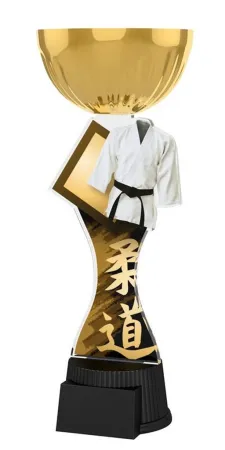 Akrylátová trofej ACUPCGNMINIM17 | Bojová umění Výška cm: 22,5