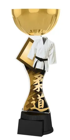 Akrylátová trofej ACUPCGNMINIM17 | Bojová umění Výška cm: 22,5