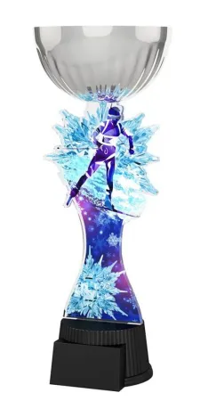 Akrylátová trofej ACUPCSMINIM71 | Biatlon Výška cm: 20,5