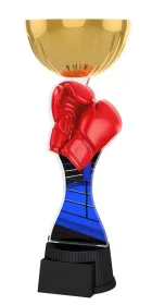 Akrylátová trofej ACUPCGMINIM35 | Bojová umění Výška cm: 25,5