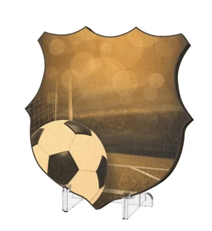 Plaketa WPPR002M11 | Fotbal Výška cm: 17,5