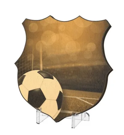 Plaketa WPPR002M11 | Fotbal Výška cm: 17,5