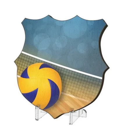 Plaketa WPP002M21 | Volejbal Výška cm: 20