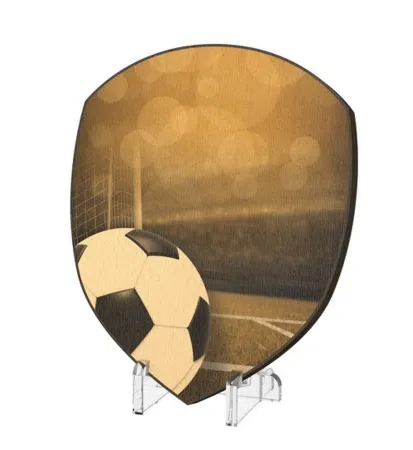 Plaketa WPPR004M06 | Fotbal Výška cm: 15