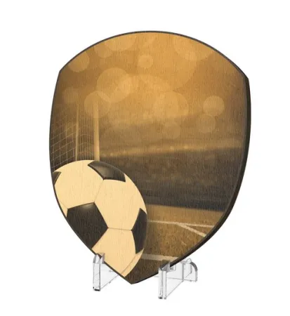 Plaketa WPPR004M06 | Fotbal Výška cm: 15