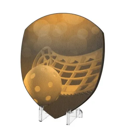 Plaketa WPPR004M19 | Florbal Výška cm: 15