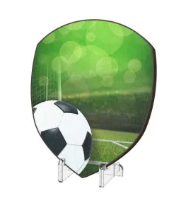 Plaketa WPP004M06 | Fotbal Výška cm: 15