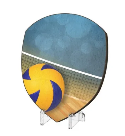 Plaketa WPP004M16 | Volejbal Výška cm: 10