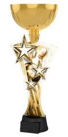 Akrylátová trofej ASTARNCUPM03 Výška cm: 32